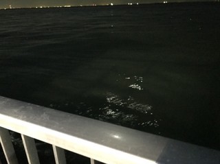 20171102_171102_0003.jpg