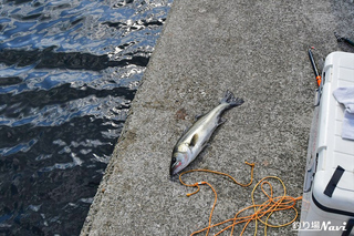 DSC_9305Re.jpg