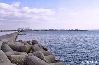 DSC_9311Re.jpg