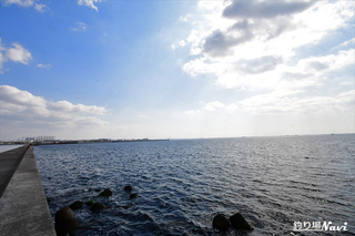 DSC_9319Re.jpg