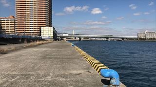 南芦屋浜-東001.jpg