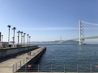 IMG_3806.jpg