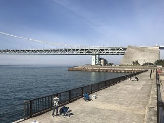 IMG_3808.jpg