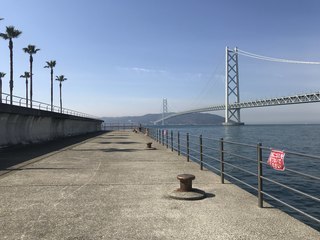 IMG_3810.jpg