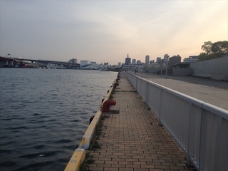 IMG_4002_Re.JPG