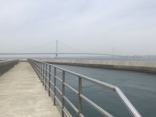 IMG_5009.jpg