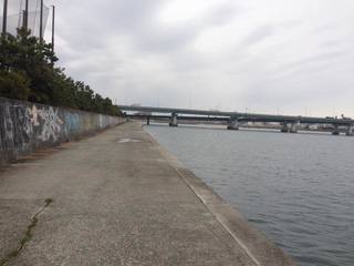 th_IMG_3583.jpg